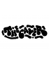 Thecaver